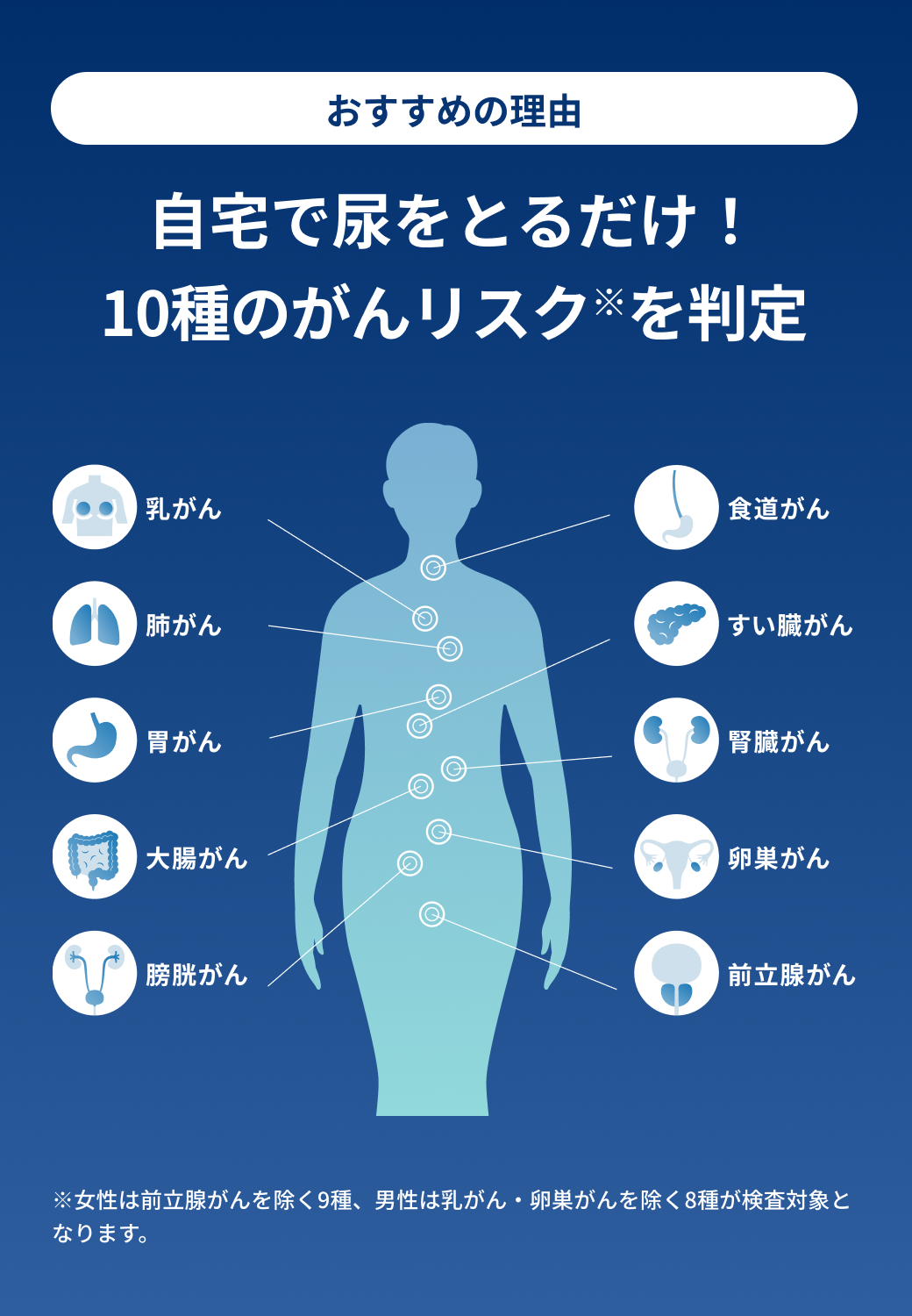 10がん種の全身図
